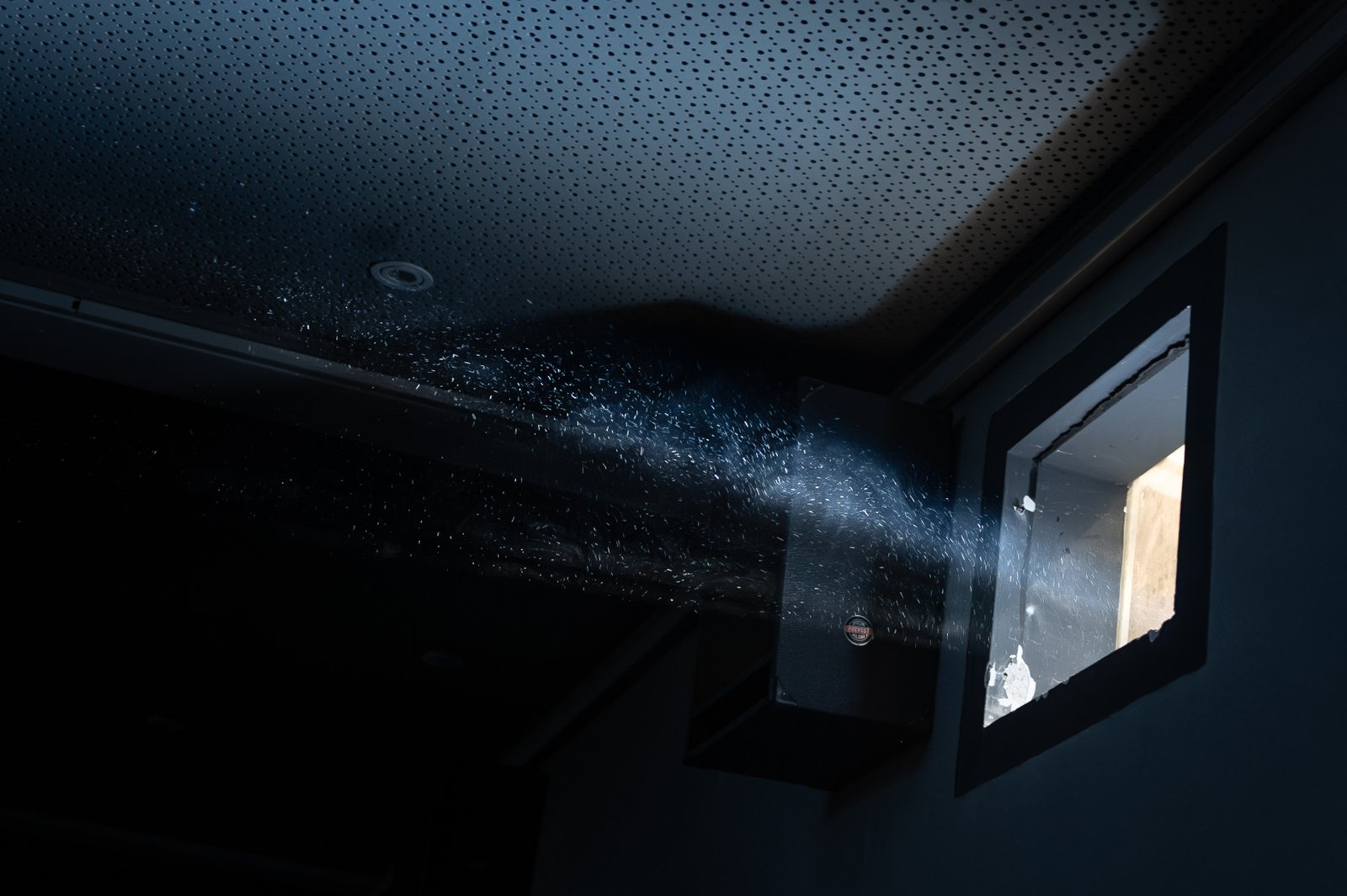 Ritratto Studio Luce